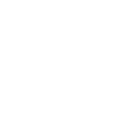 The Joy of Tai Chi